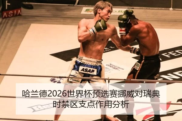 哈兰德2026世界杯预选赛挪威对瑞典时禁区支点作用分析