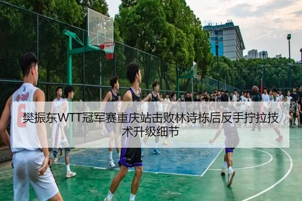 樊振东WTT冠军赛重庆站击败林诗栋后反手拧拉技术升级细节